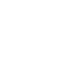 briefcase